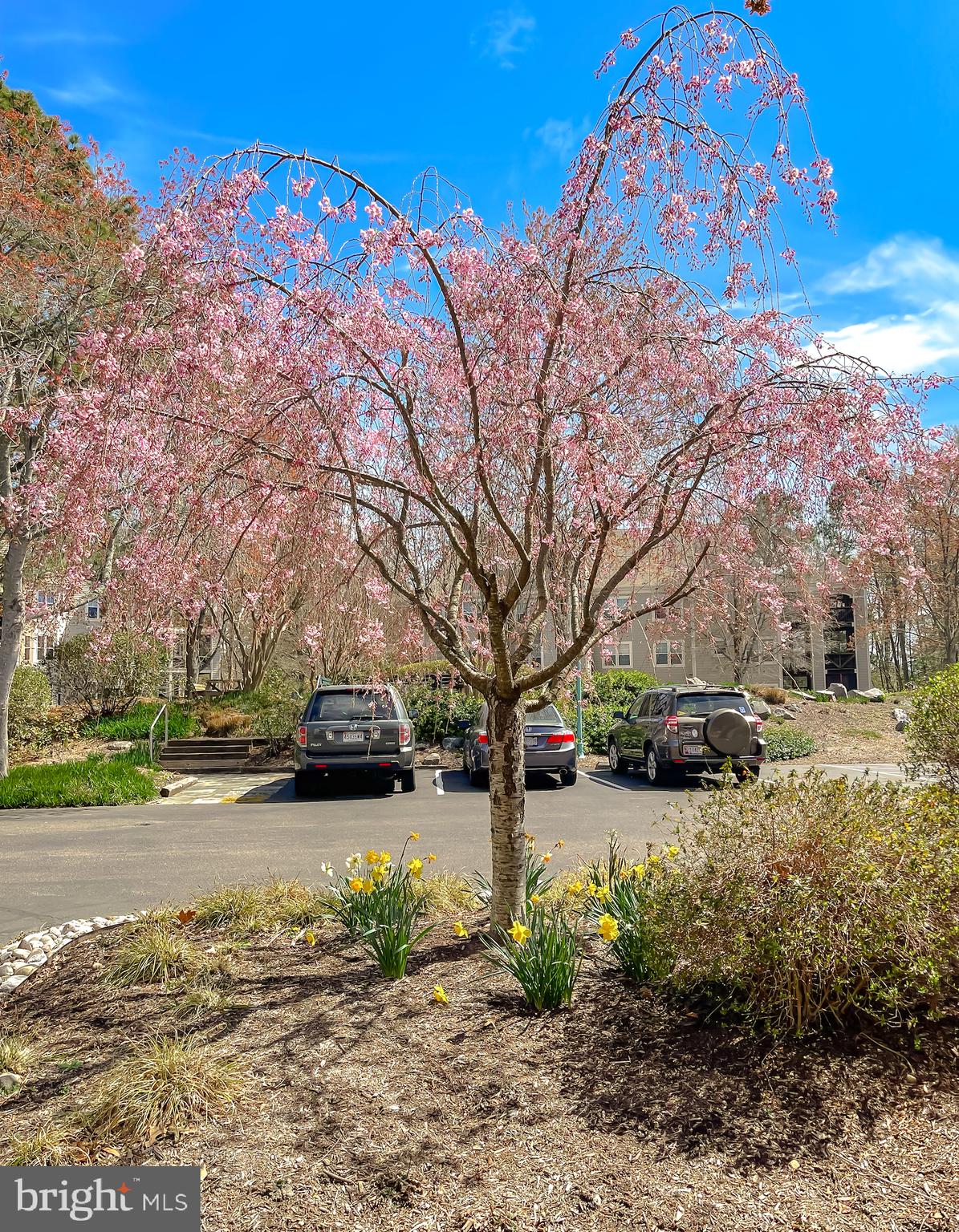 SOLOMONS LANDING - Residential Lease