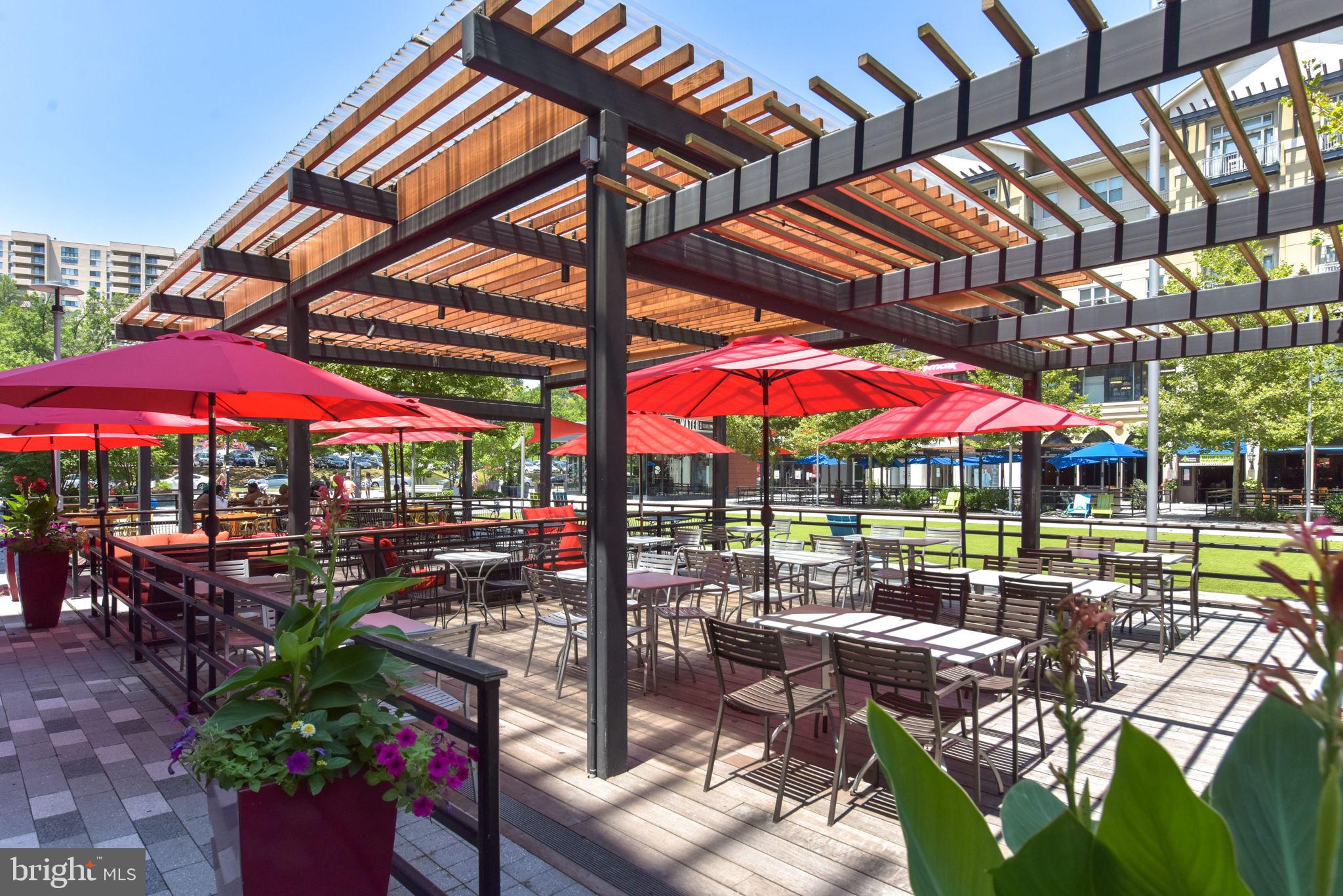 THE REPRESENTATIVE - Residential