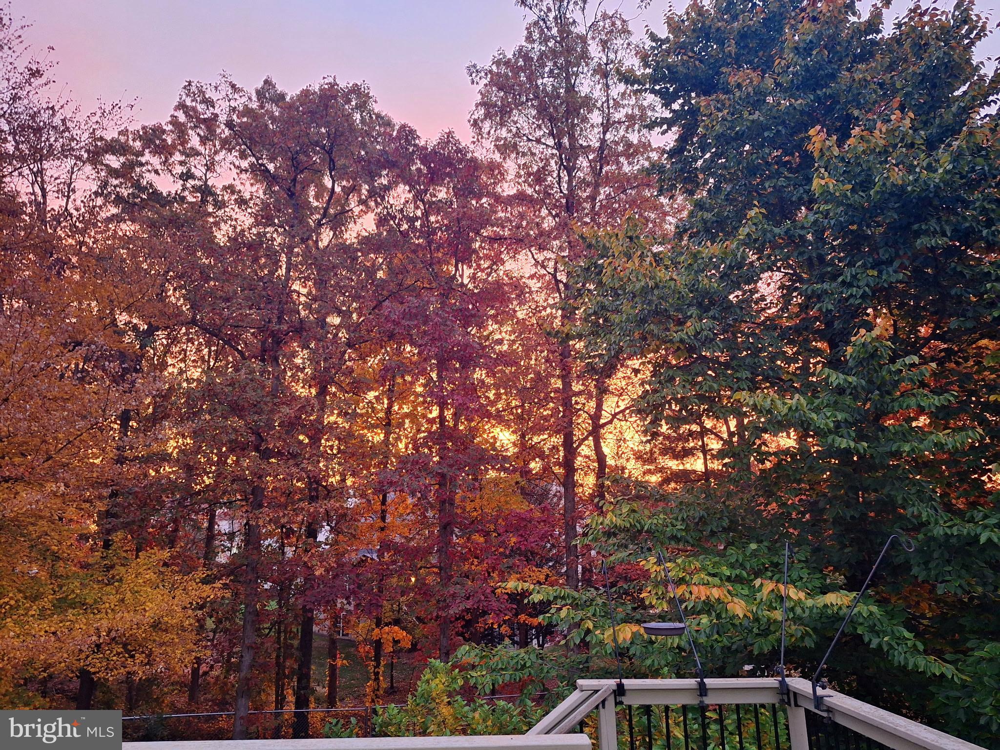 SARATOGA - Residential