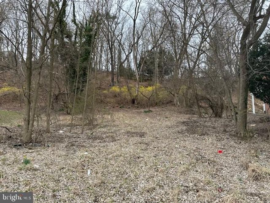 Small-town living has its charm, and this 0.724-acre parcel on a quiet street in Romney, West Virginia, offers a great opportunity to bring your residential plans to life. Whether you're considering a single-family home or a small multi-unit dwelling (1-4 units), this property provides flexibility to suit your needs. With all public utilities available, development is made easier, making it a solid option for homeowners or investors. Located in a historic small town with access to local amenities, schools, and outdoor recreation, it also offers convenient proximity to Winchester, Virginia, just 45 minutes away, and Washington, D.C., within two hours. If you're looking for a place to build in Romney, this could be worth considering.