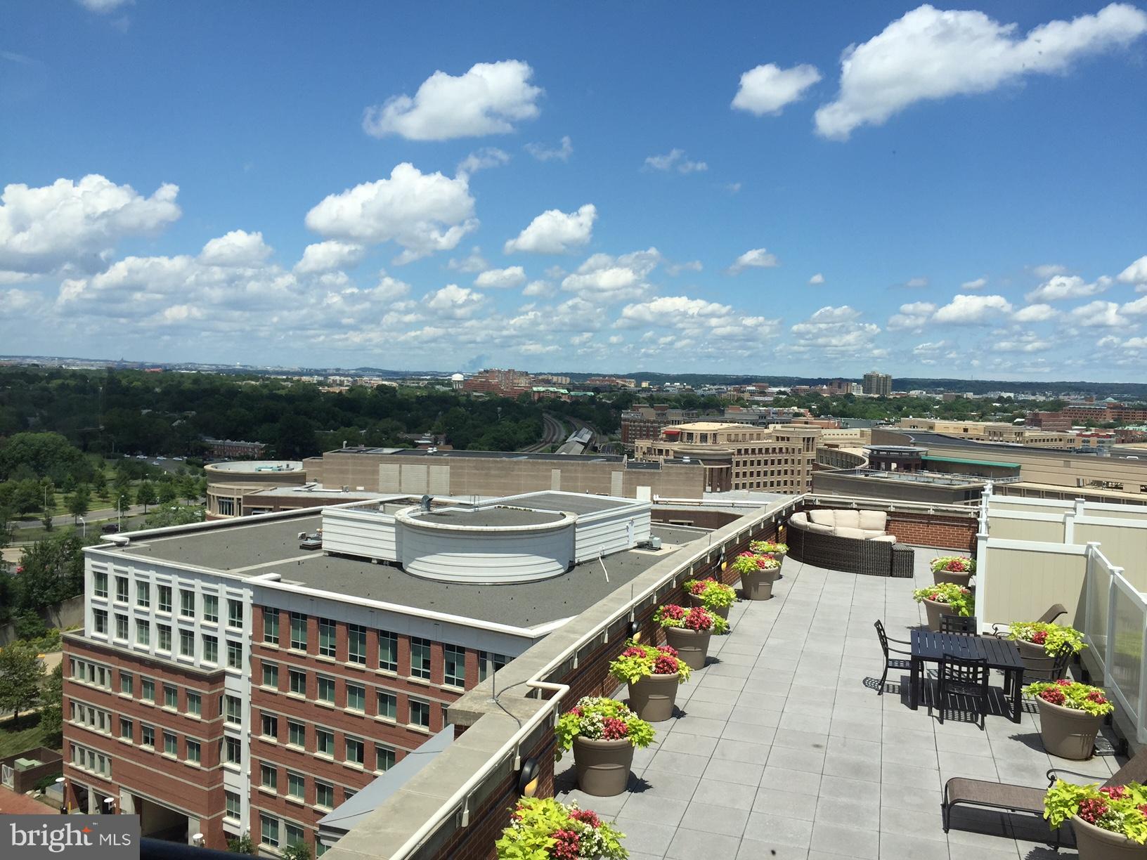 THE JAMIESON - Residential Lease