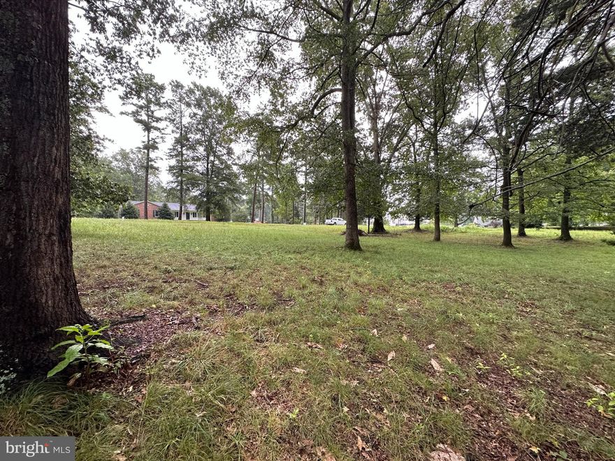 Located in the heart of historic Warsaw, Virginia, Lot 14 E. Jefferson Ave offers an exceptional opportunity to build the home of your dreams! Spanning a generous .40 acres, this prime piece of real estate presents a canvas for your vision, providing ample space to create a residence that suits your lifestyle.

With the convenience of access to public water and sewer, this lot eliminates the hassle of private utility installations, streamlining the building process for your new home. Imagine the possibilities as you design a dwelling that perfectly captures your aesthetic preferences and meets the needs of your household.

This lot is a rare find in a sought-after location, providing a blank slate for your future abode. Whether you're envisioning a cozy retreat or a spacious family home, the canvas is yours to paint.

Seize this opportunity to become a part of the charming Warsaw community, where history meets modernity, and where the charm of small-town living harmonizes with the conveniences of contemporary amenities. Don't miss out on making your mark in this picturesque corner of Virginia! Contact us today to explore the endless possibilities awaiting you at Lot 14 E. Jefferson Ave