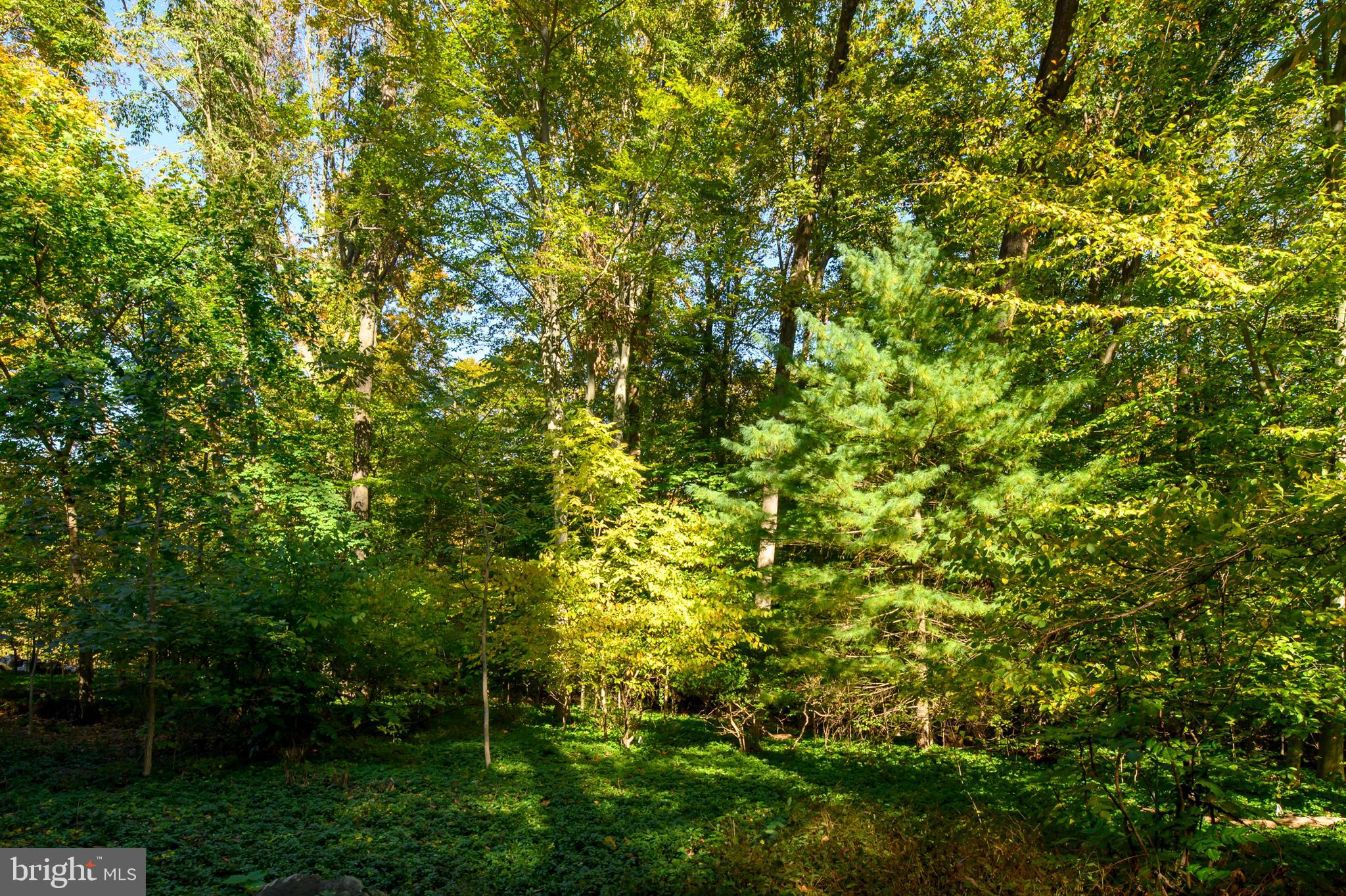 WOODCREST - Residential