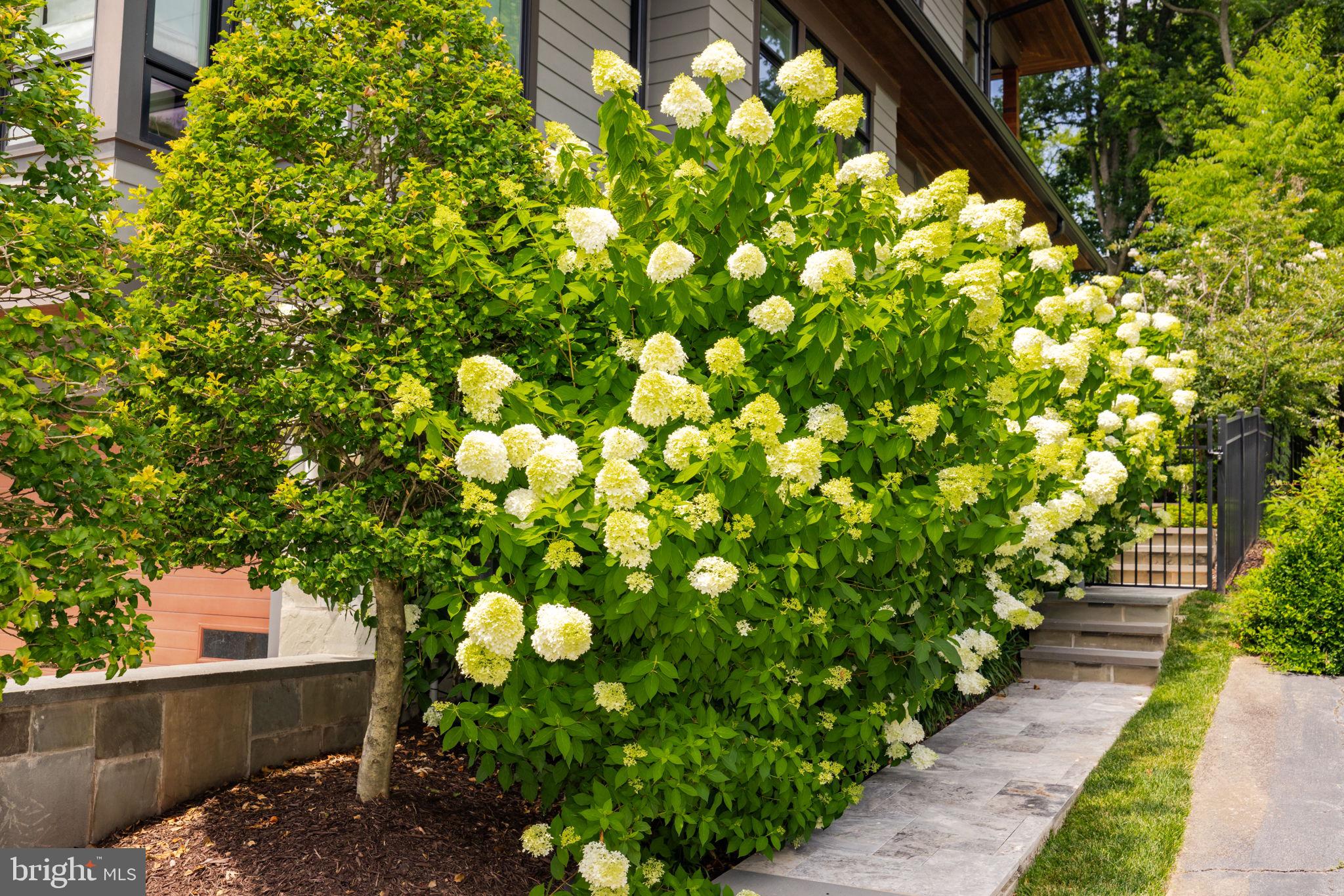 VIENNA WOODS - Residential