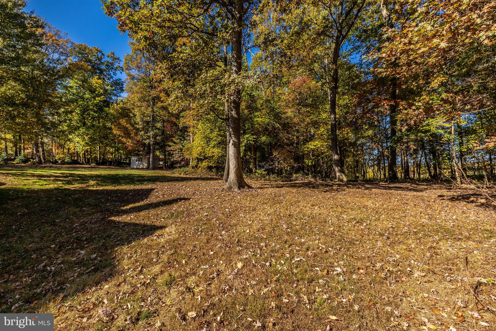 THE PADDOCKS - Residential