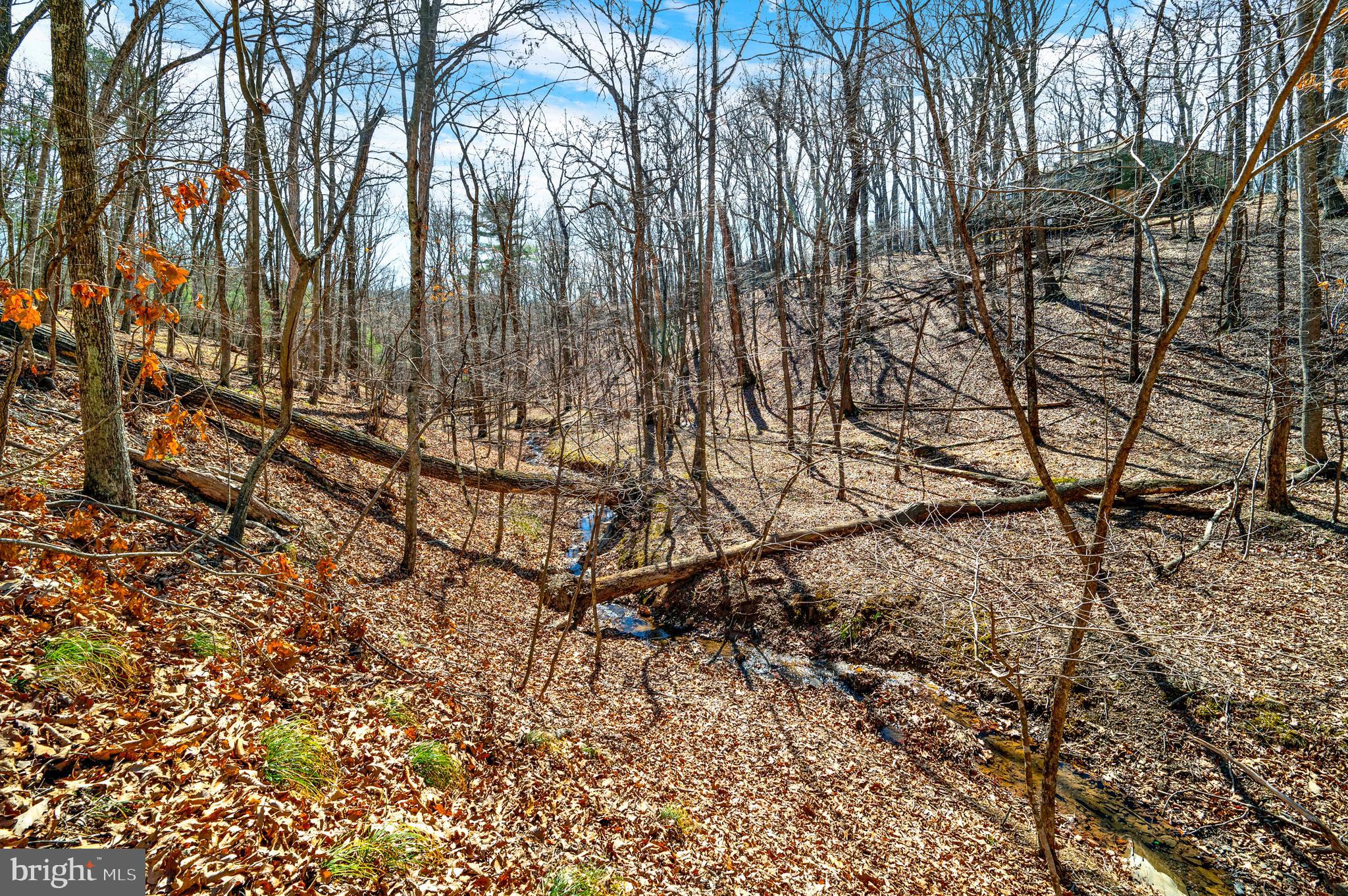 SHERWOOD FOREST - Residential