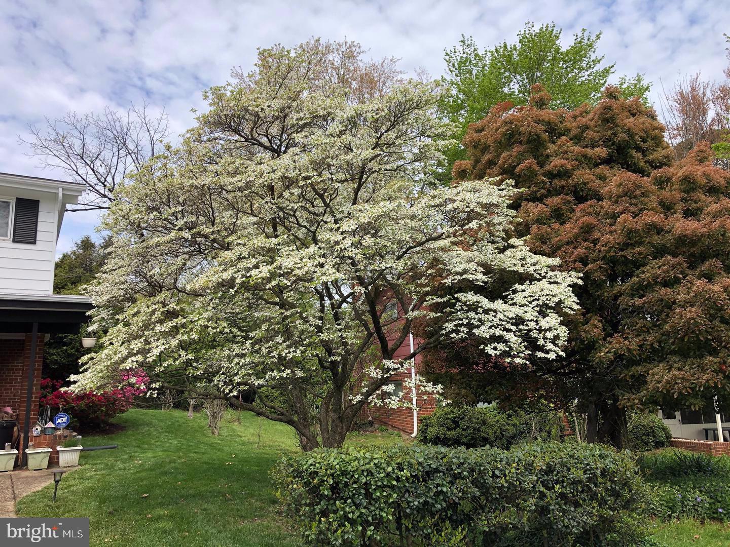 KEMP MILL ESTATES - Residential