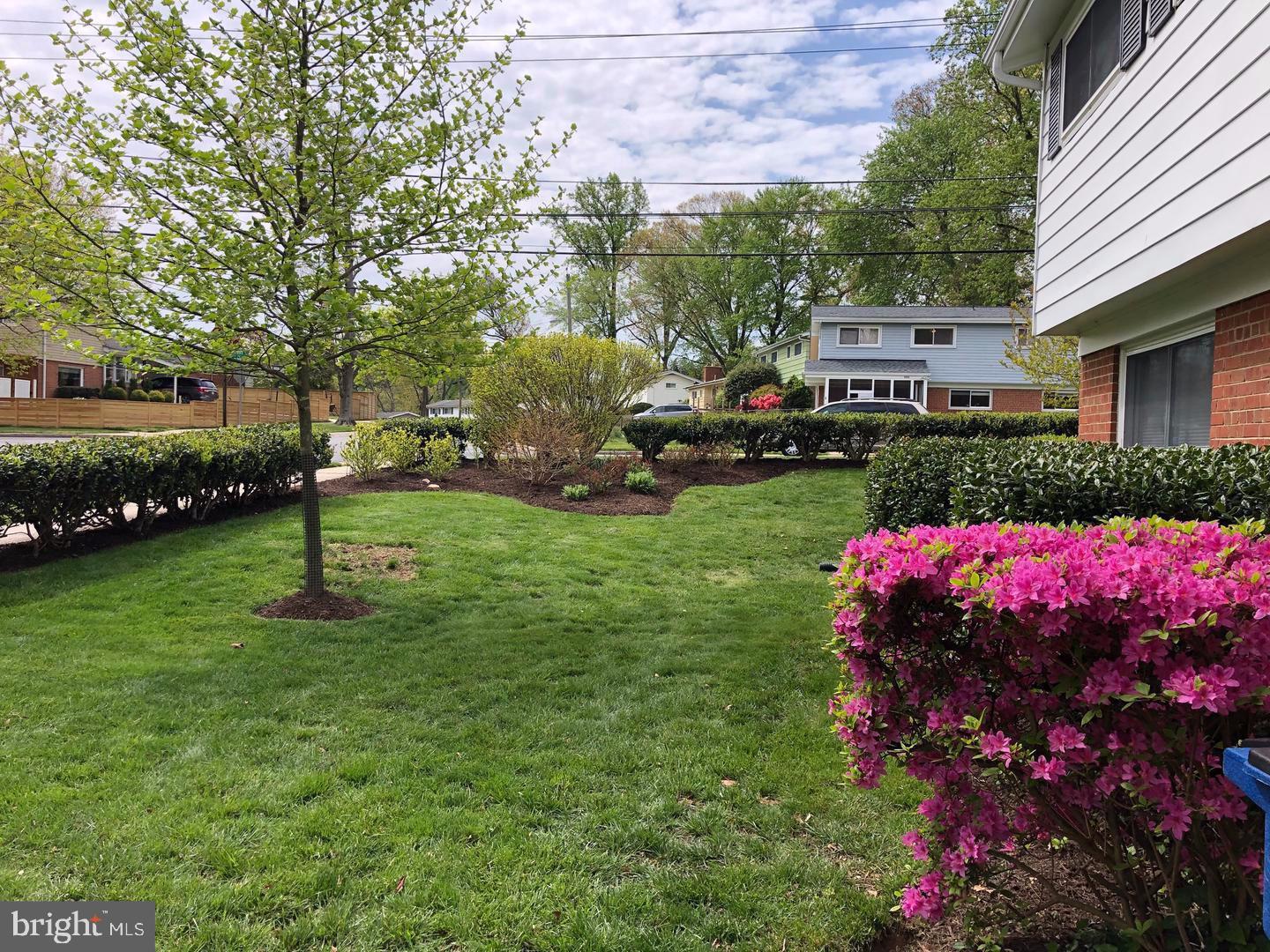 KEMP MILL ESTATES - Residential