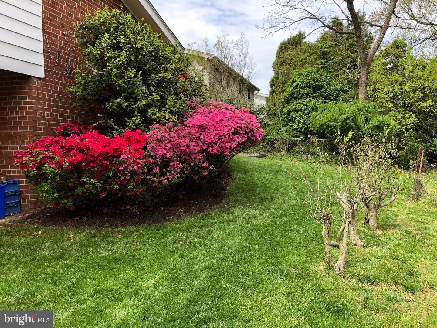 KEMP MILL ESTATES - Residential