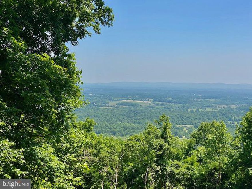 East side of Blue ridge, all wooded, old logging trail, could clear views of Loudoun Valley and Bull Run Mountains, 10.94 acres, easy access to Routes 7 and 50, tough to match the seclusion.