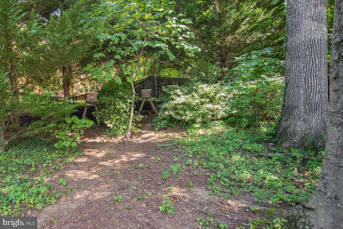 MARY KNOLLS - Residential