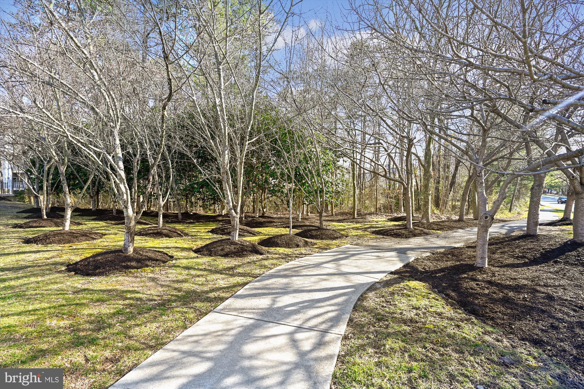 RUSSETT - Residential