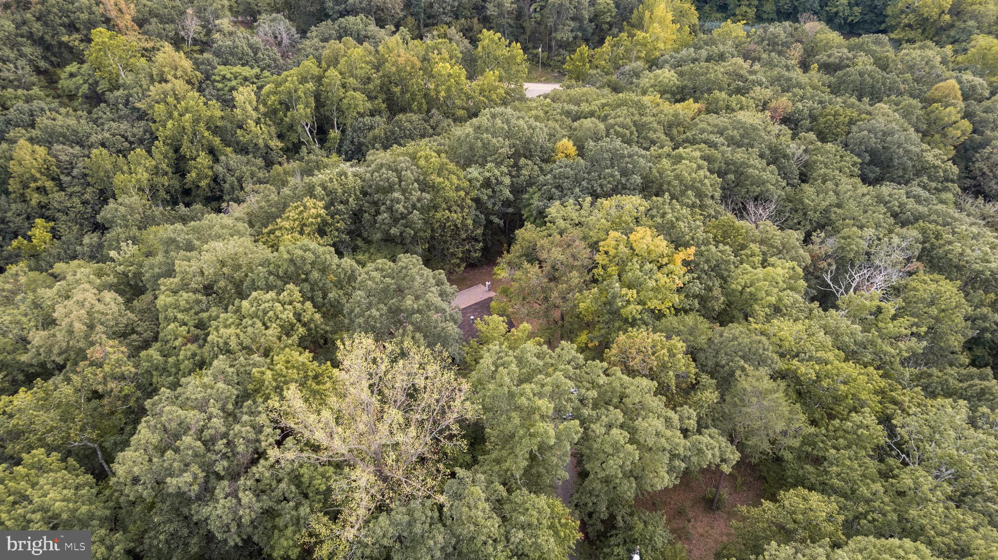 BLUE RIDGE ACRES - Residential