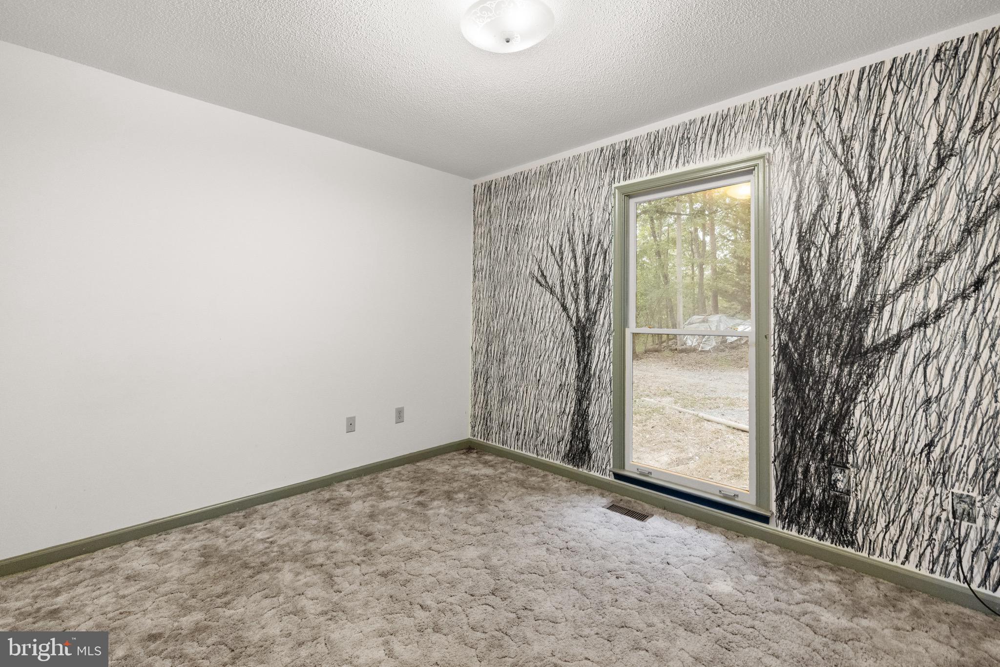 BLUE RIDGE ACRES - Residential