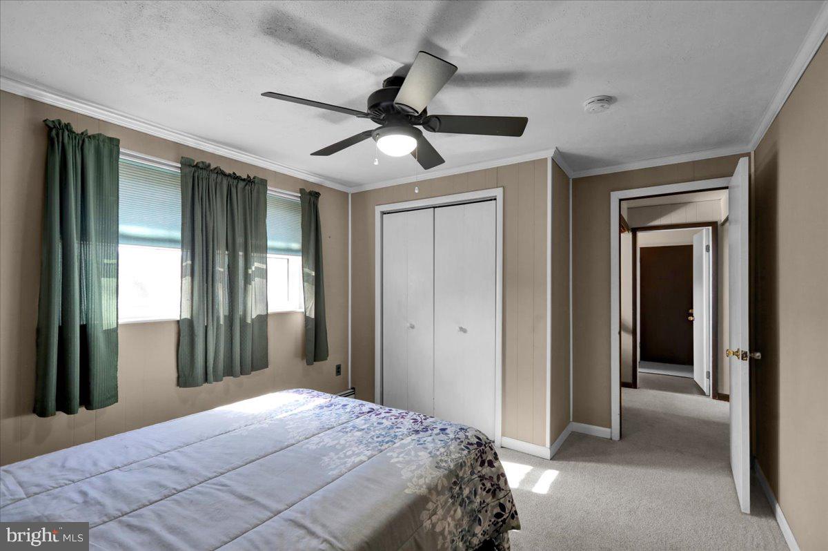 LORANE ORCHARD - Residential