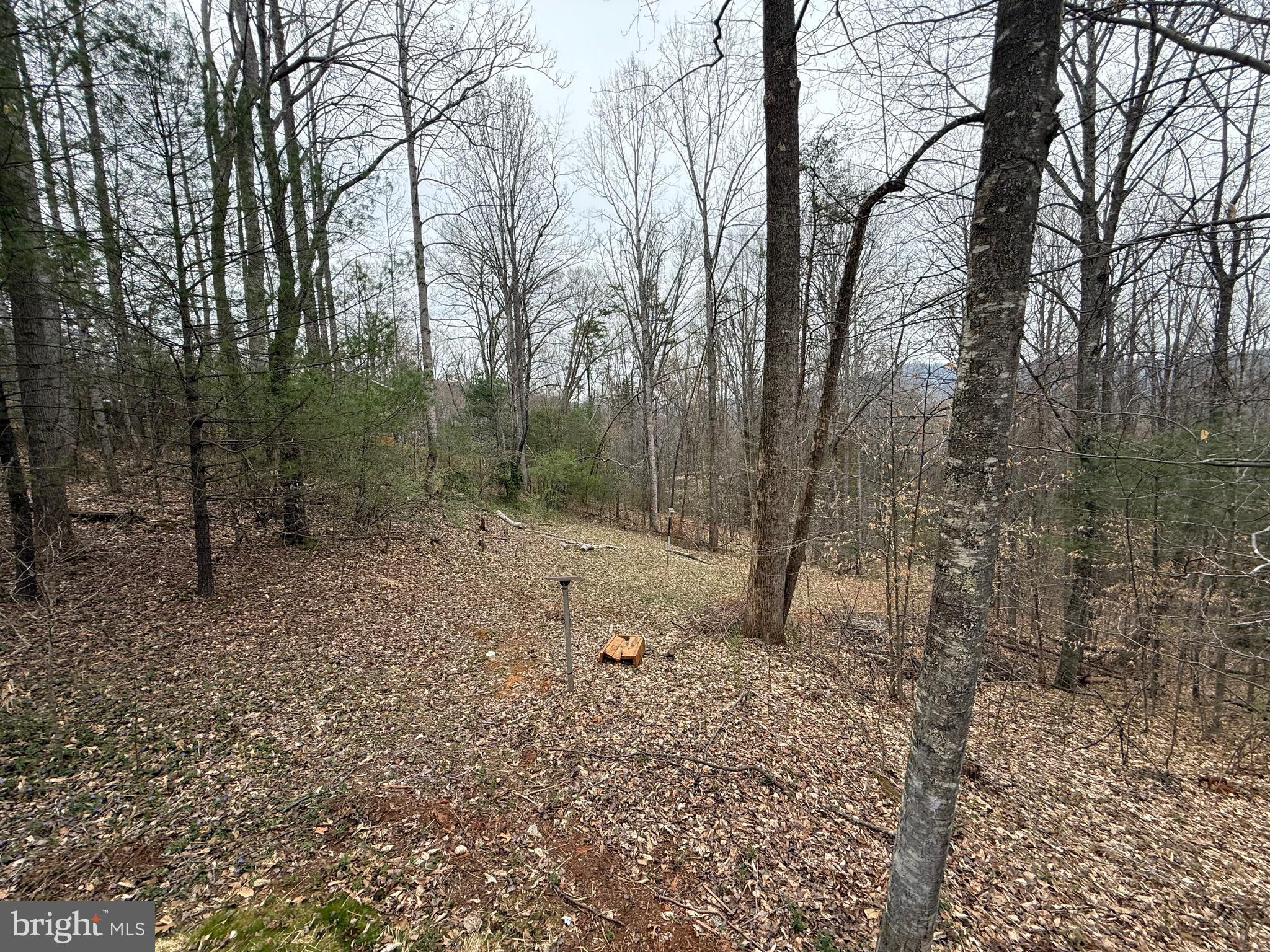 LAUREL MOUNTAIN - Residential Lease