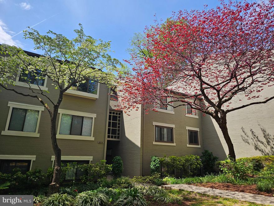 AVAILABLE NOW!  FULLY FURNISHED, 3 OR 6 MONTH LEASE ONLY!  THREE BEDROOM, TWO BATH CONDO CONVENIENT TO ALL MAJOR ARTERIES/IAD/RESTON METRO!  Quietly Tucked Away in Springwood with Immediate access to the Reston Walking/Running Trail complex,  Multiple Shopping Resources, Highly Ranked Public schools, and Access to the Reston Association Pools, Golf, Soccer Fields and Tennis Facilities.    This Updated Unit has Gorgeous Hardwoods and a Decorative Fireplace in an Inspiring, Airy Living Room with a Serene Balcony.  Separate Dining Room! Full Size Washer Dryer!   UNIT IS FULLY FURNISHED.  EASY ONLINE APPLICATION!  Contact you Realtor for Details!