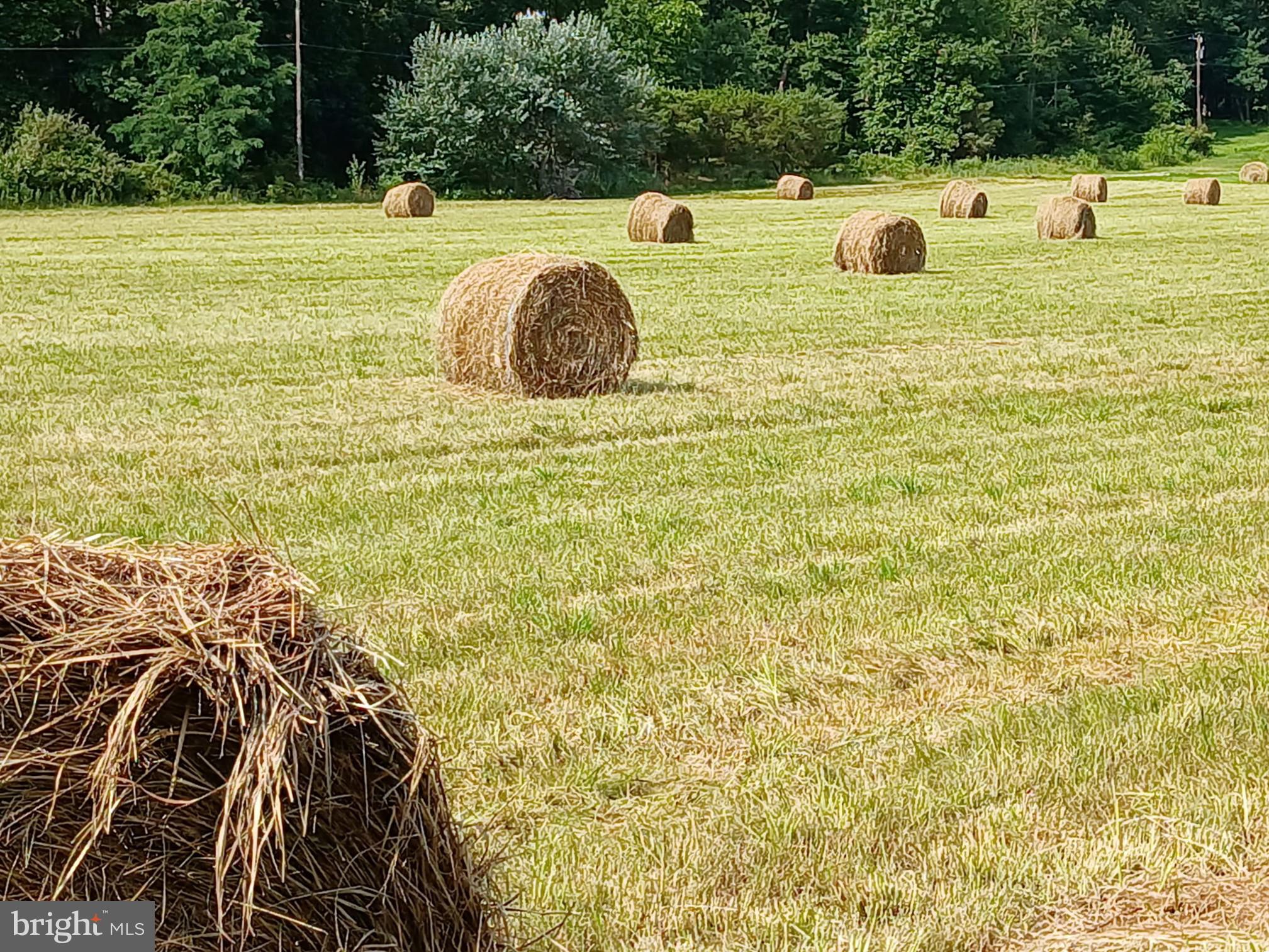 FAIRFIELD/CARROLL VALLEY - Residential