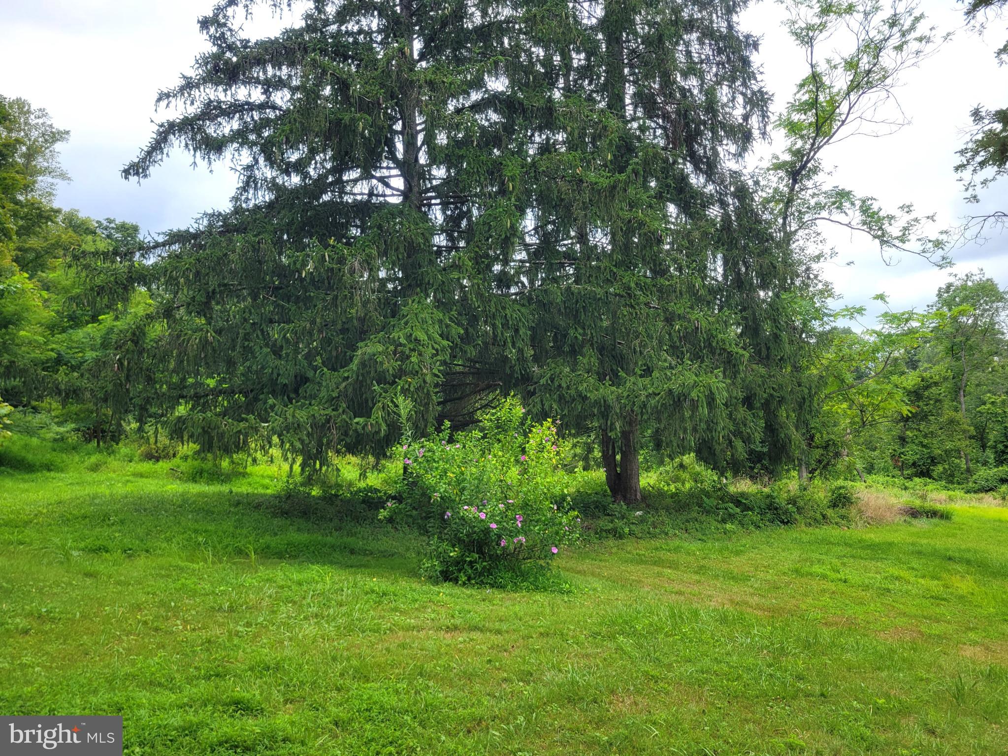 FAIRFIELD/CARROLL VALLEY - Residential