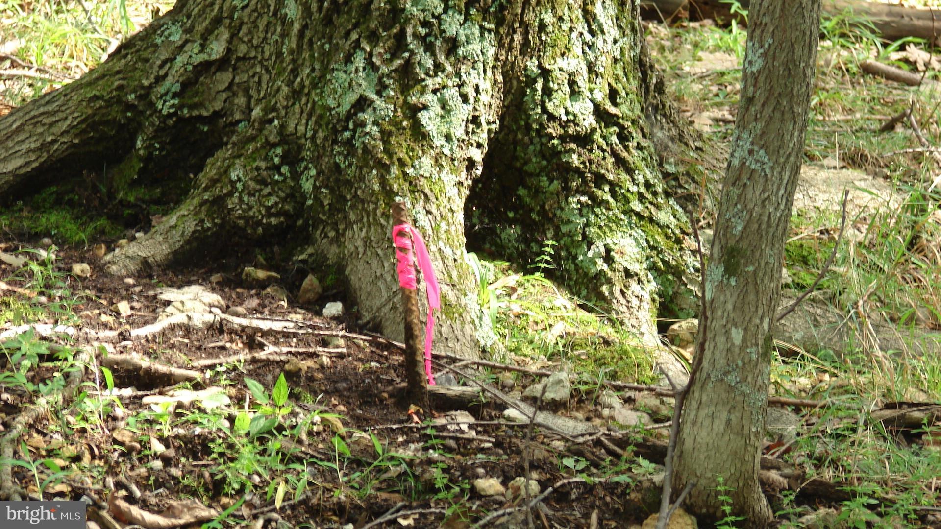 THUNDERBIRD HILLS - Land