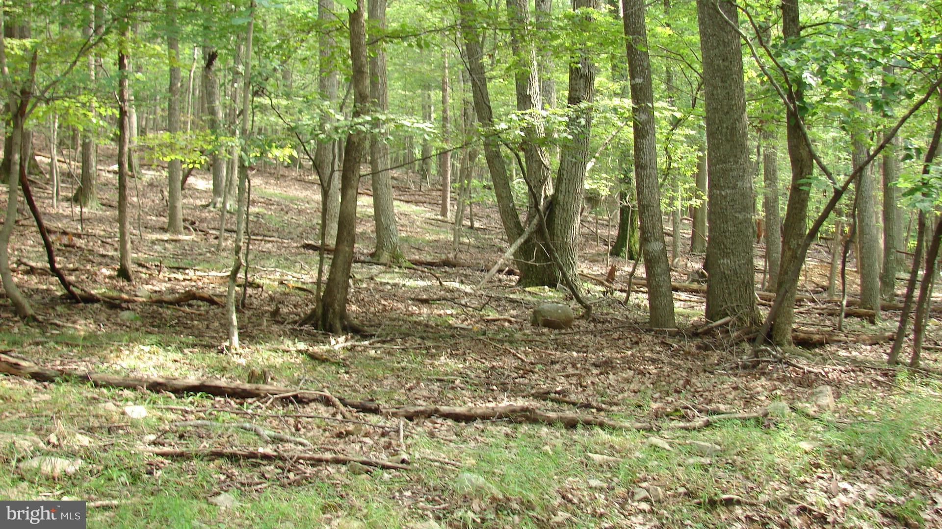 THUNDERBIRD HILLS - Land