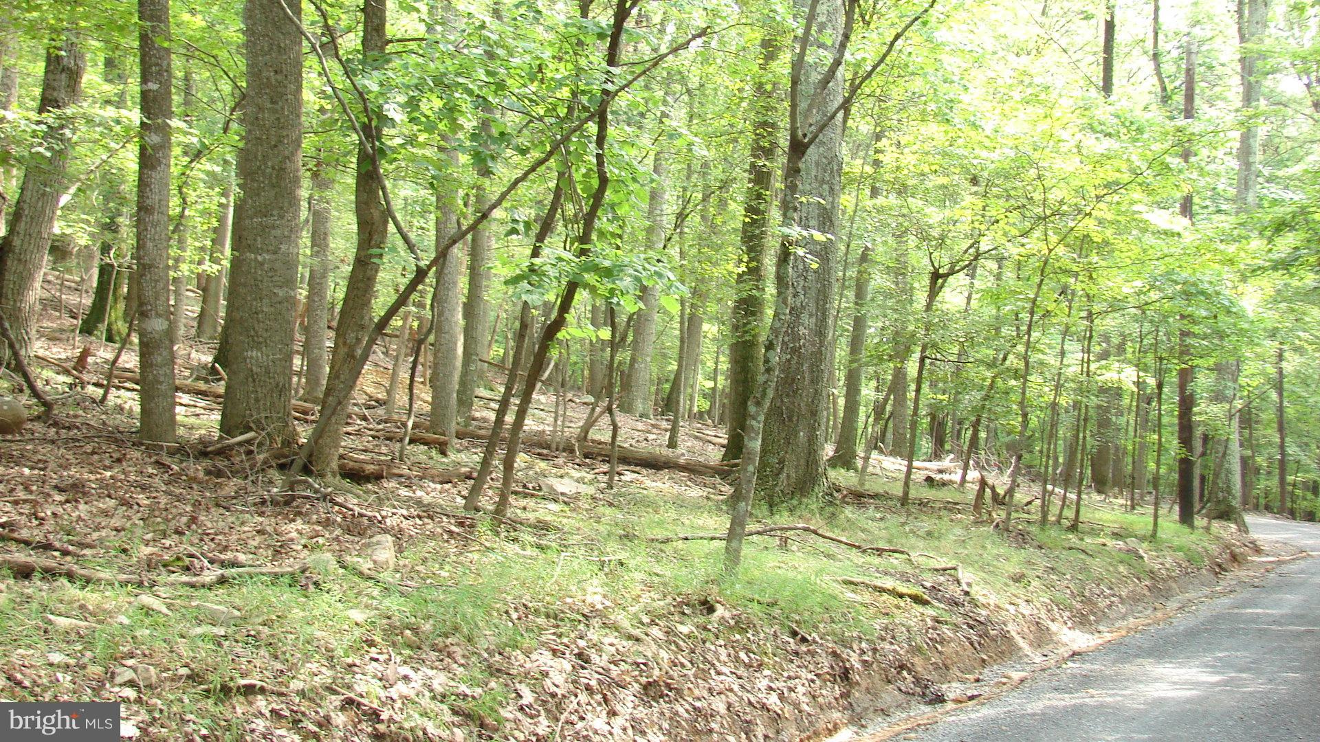 THUNDERBIRD HILLS - Land