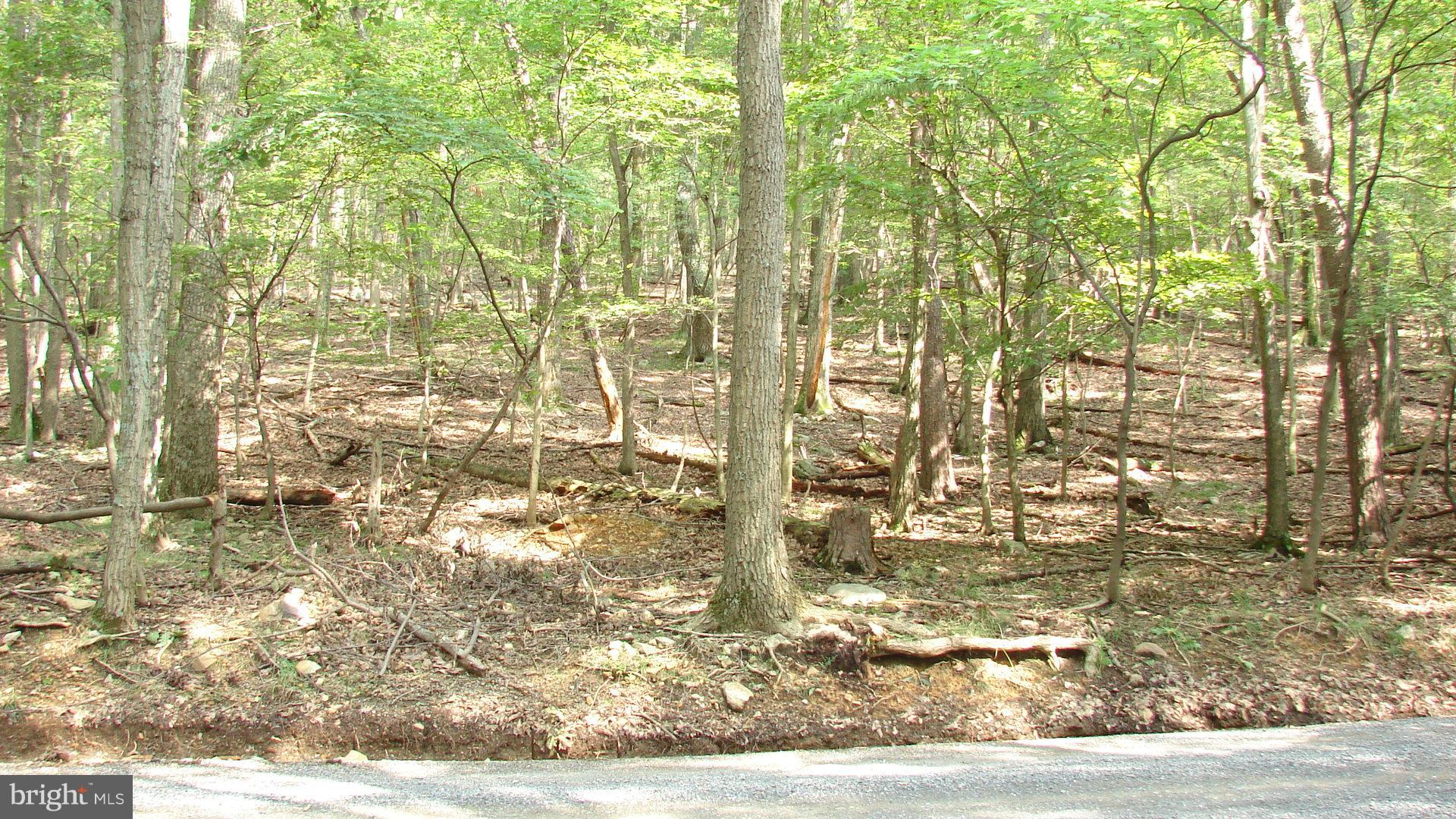 THUNDERBIRD HILLS - Land