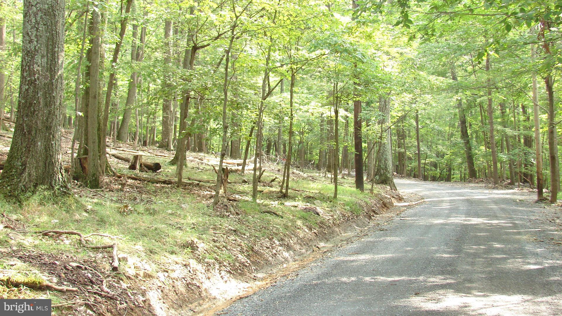 THUNDERBIRD HILLS - Land