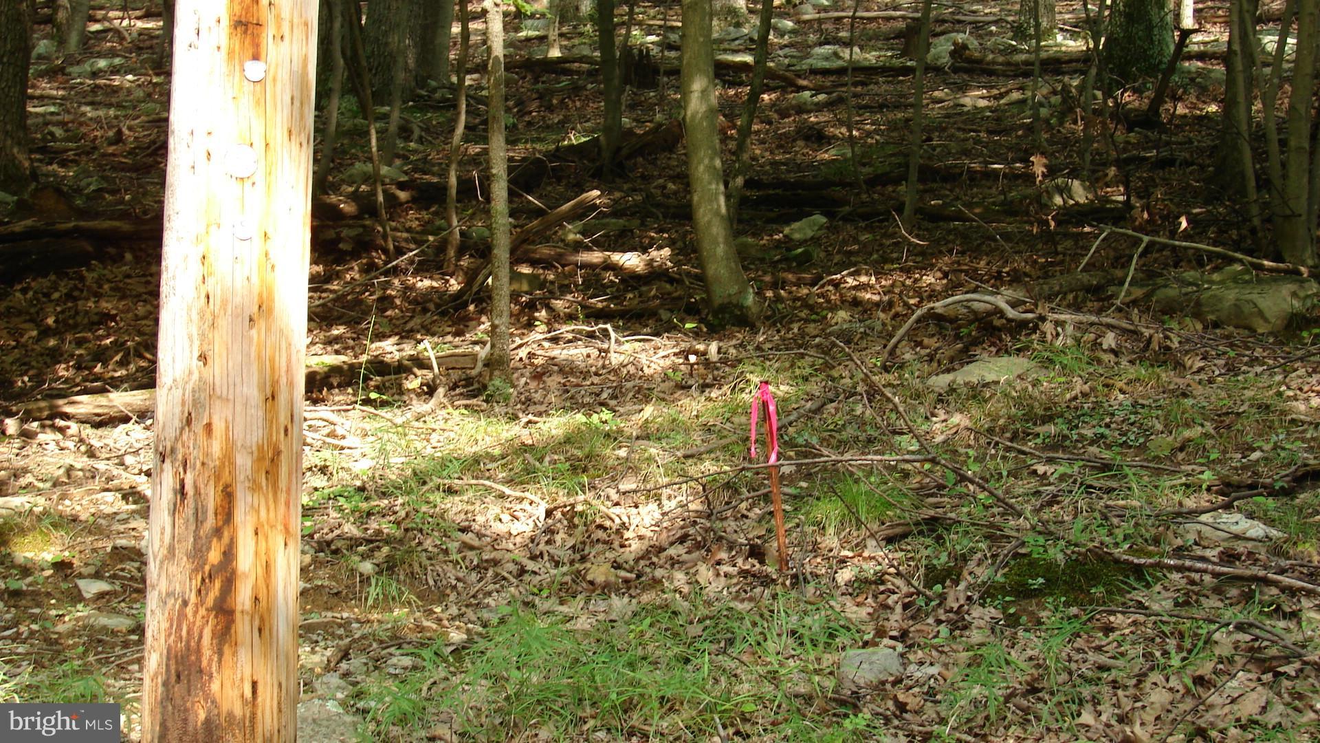 THUNDERBIRD HILLS - Land