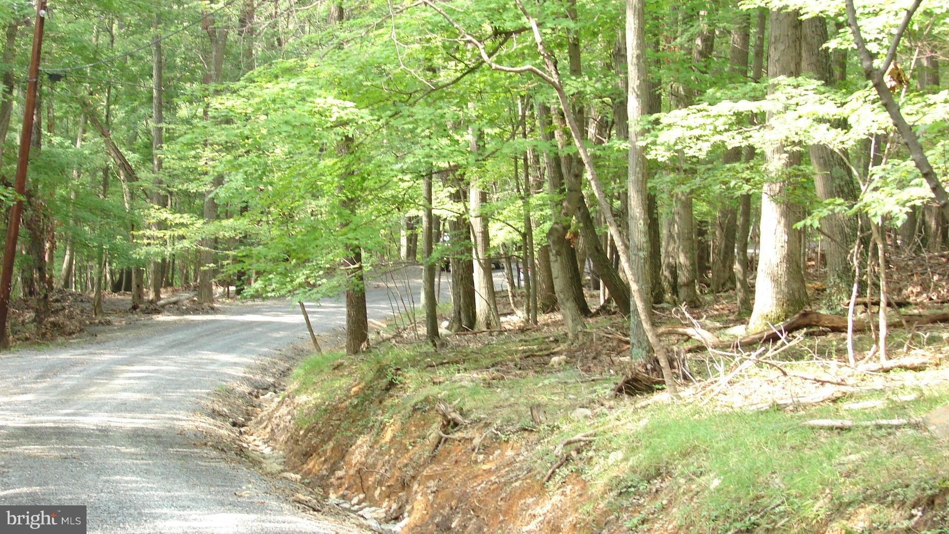 THUNDERBIRD HILLS - Land