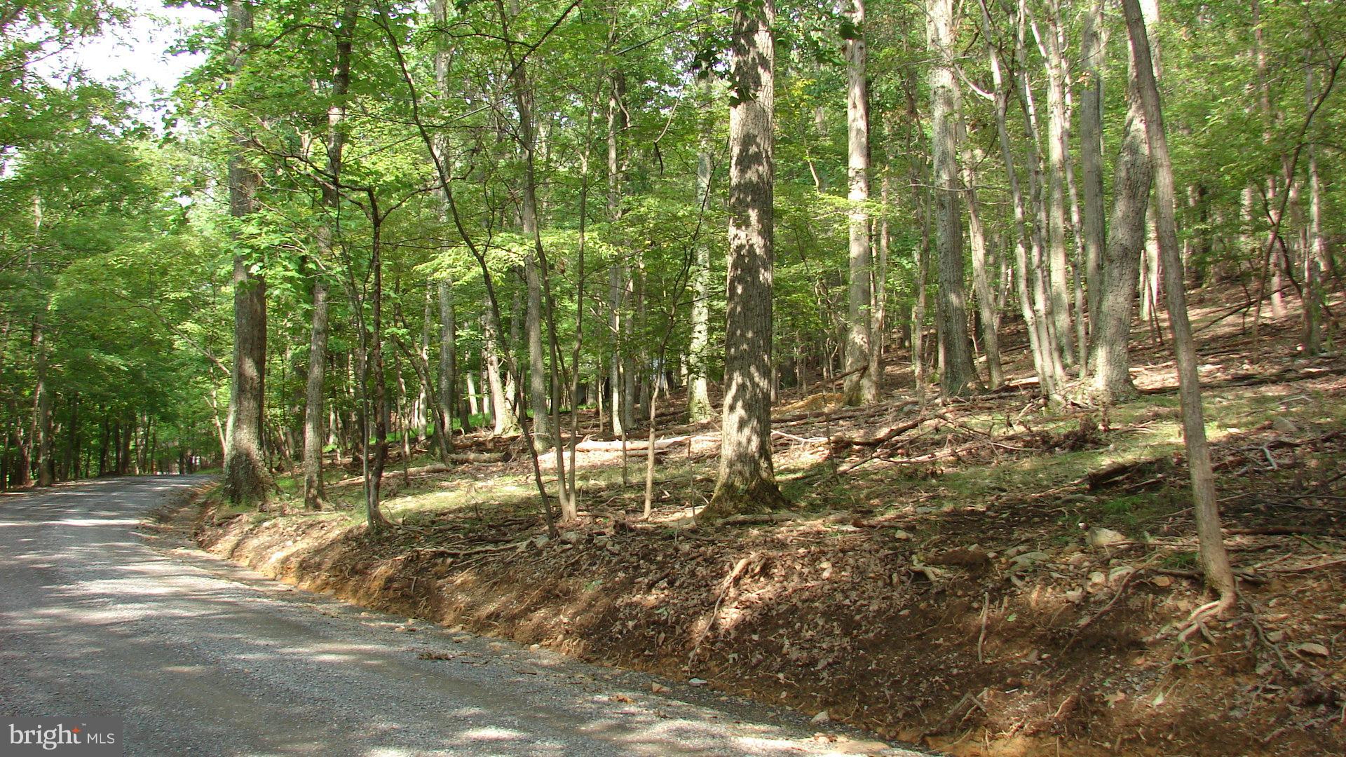 THUNDERBIRD HILLS - Land