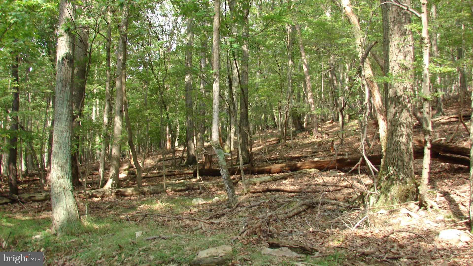 THUNDERBIRD HILLS - Land