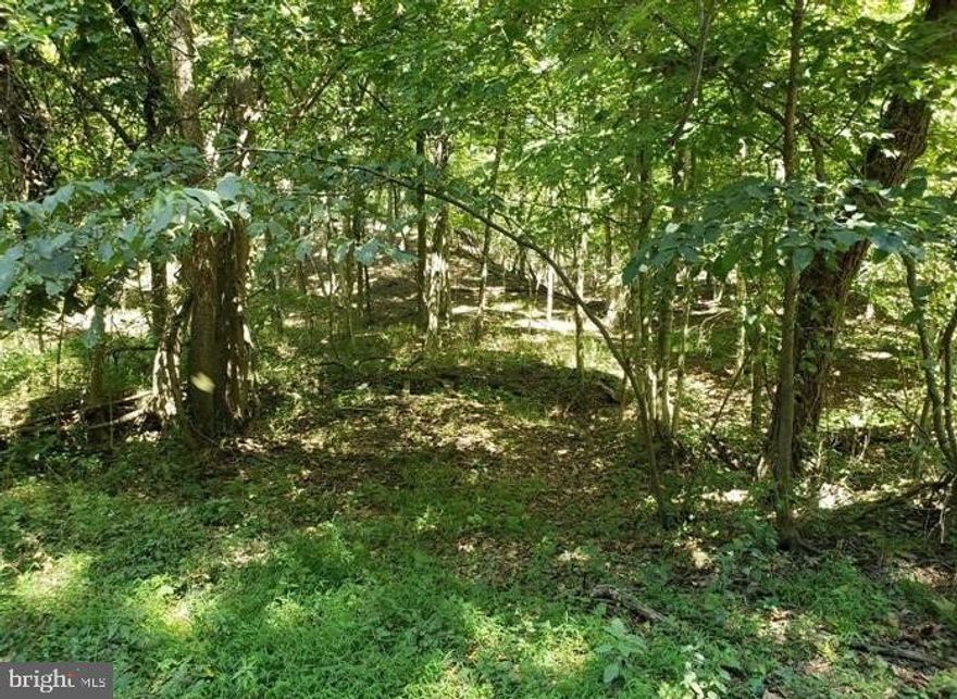 GREAT WOODED, RECREATIONAL LOT IN LAKE FERNDALE SD WITHIN WALKING DISTANCE TO THE COMMUNITY ACCESS AREA OF LAKE FERNDALE. WHICH OFFERS ACCESS TO THE PRIVATE 50 ACRE STOCKED LAKE WITH BOAT RAMP TO FISH, BOAT OR KAYAK, SANDY BEACH AREA FOR SWIMMING AND PICNIC AREA WITH PAVILION. BUILD A WEEKEND GETAWAY OR A PERMANENT HOME. 3 MILES FROM MULTIPLE PUBLIC RIVER ACCESS AREAS ON THE SOUTH BRANCH OF THE POTOMAC RIVER AND 4 MILES FROM WHITE HORSE MOUNTAIN WILDLIFE MANAGEMENT AREA (1700 AC OF PUBLIC HUNTING & HIKING).
