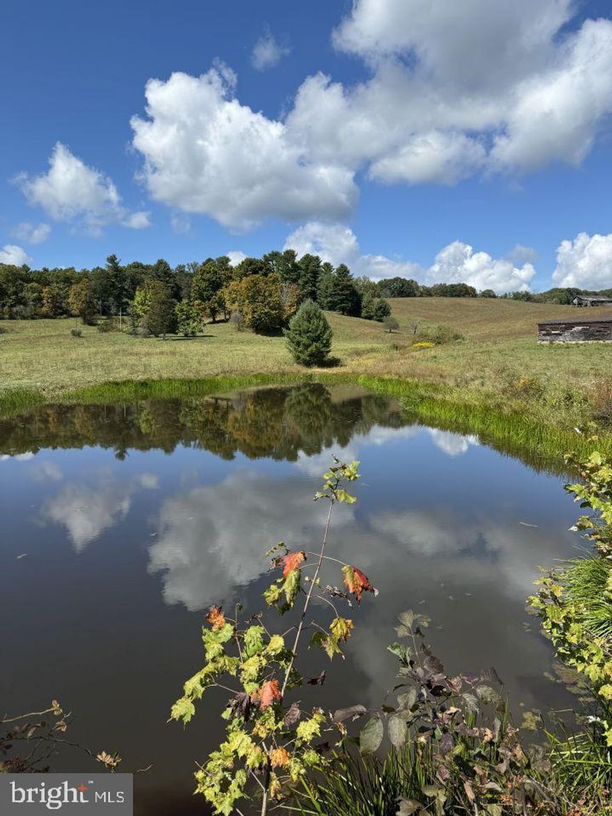 500.5 Acres of amazing West Virginia mountaintop. Located just above the Greenbrier Resort in White Sulphur Springs, WV. Perfect combination of open & wooded land. Small pond. Monroe County, West Virginia taxes. 431 of the 500.5 Acres is in Managed Timberland. Property is home of a fire tower that has been removed, but the primitive cabin still remains. Great views, awesome property, close to Greenbrier. Monroe Co., WV Schools: Mountain View Elementary & Middle, James Monroe High.