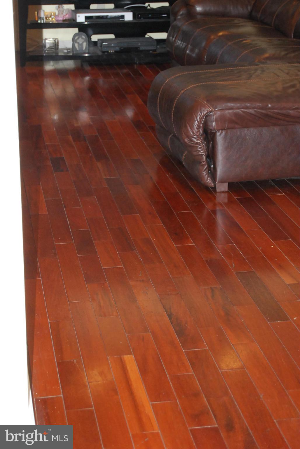 MOUNT CLARE - Residential