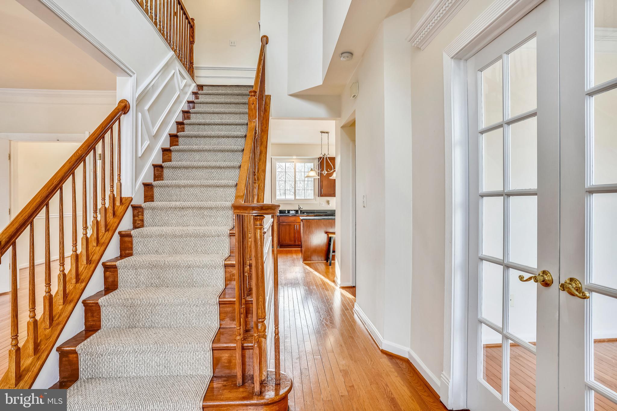 SPRINGFIELD FOREST - Residential