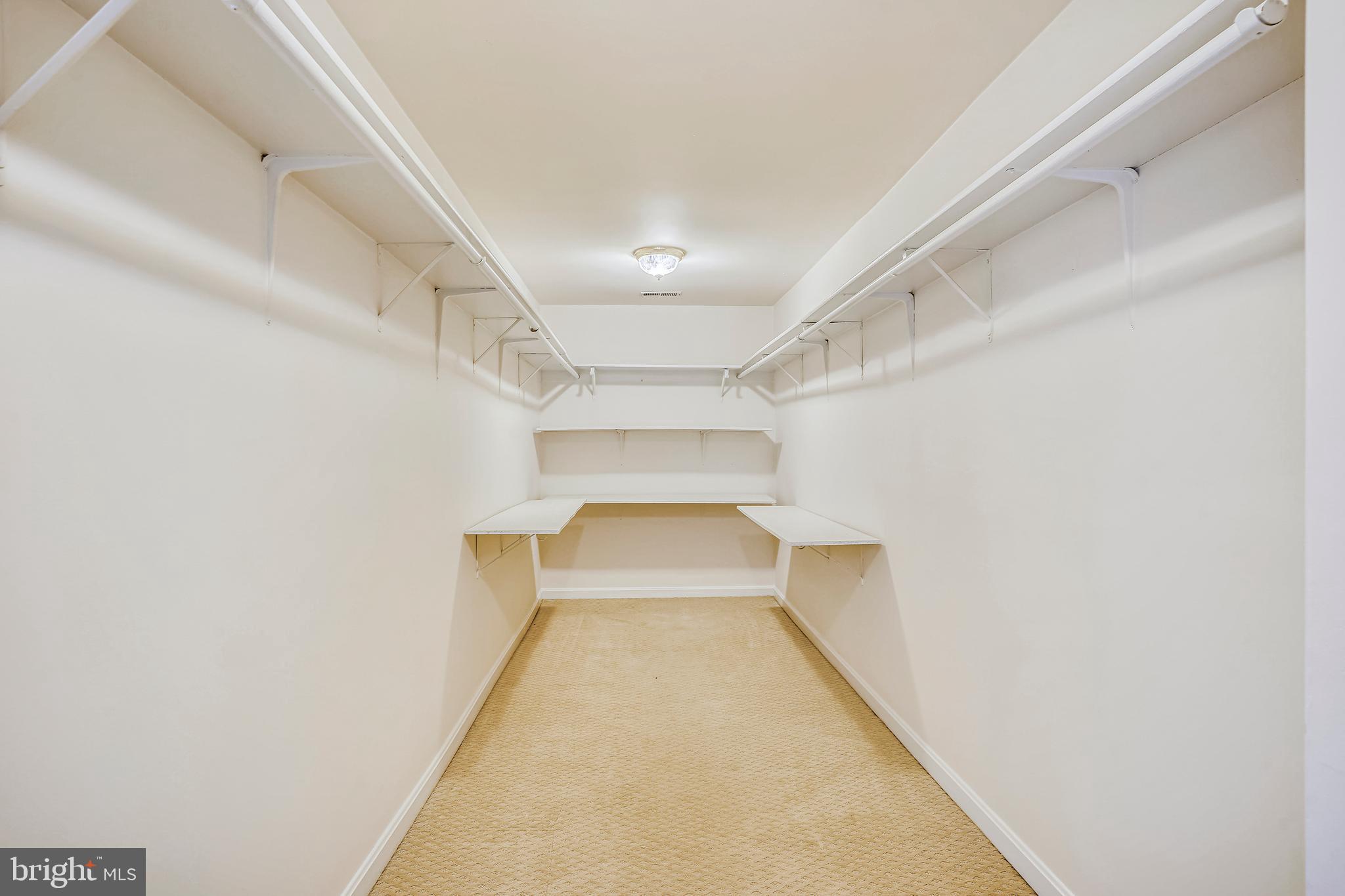 SPRINGFIELD FOREST - Residential