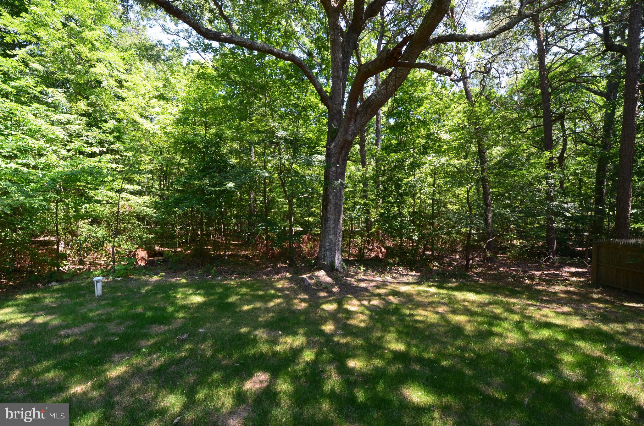 DEALE - Residential Lease