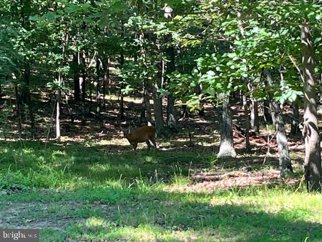 CRYSTAL VALLEY ESTATES - Residential