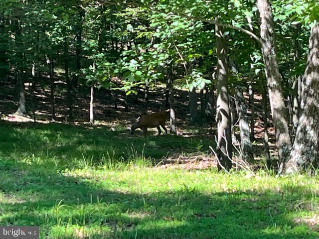 CRYSTAL VALLEY ESTATES - Residential