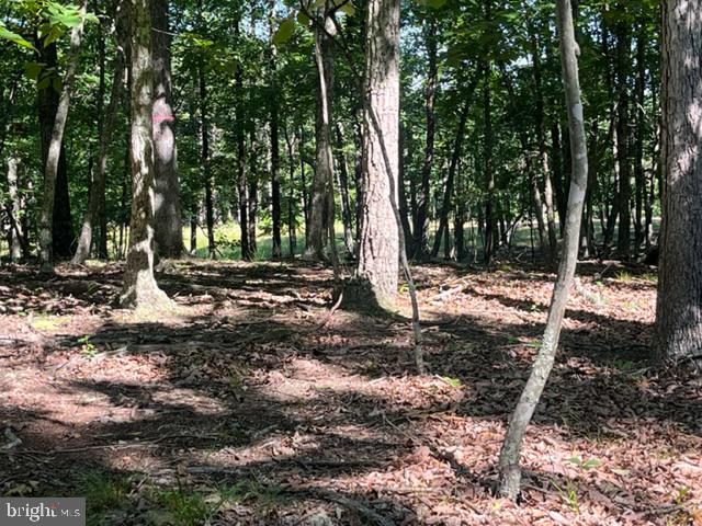 CRYSTAL VALLEY ESTATES - Residential