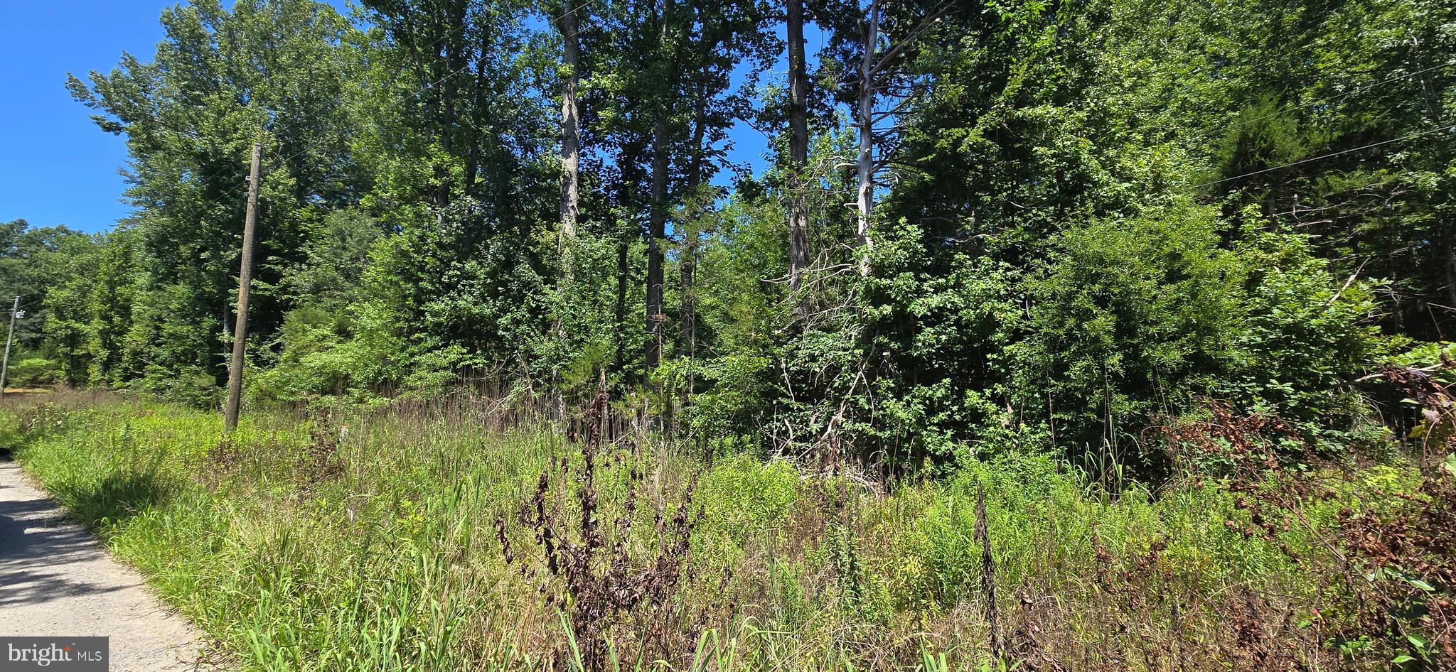 LOT 19 MEADOWVIEW LANE