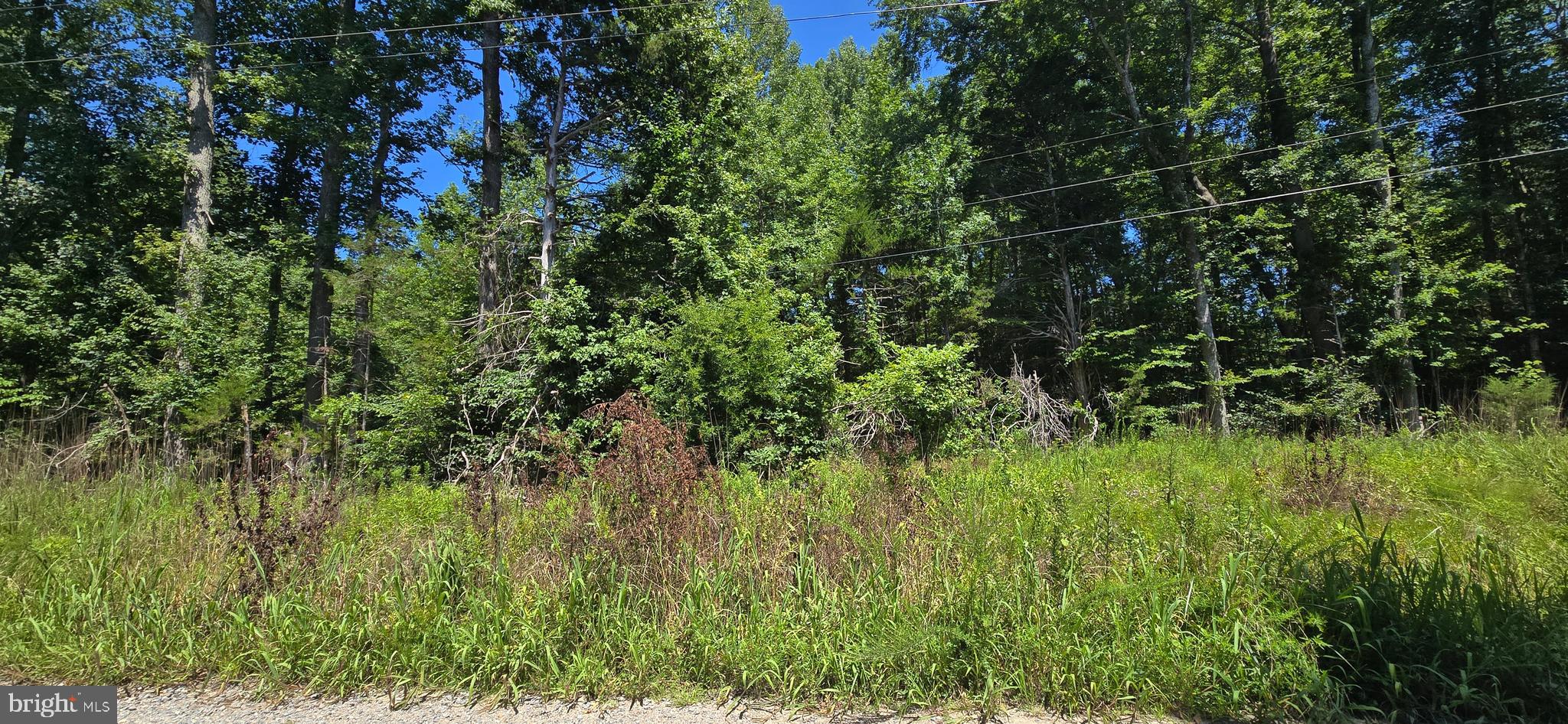LOT 19 MEADOWVIEW LANE