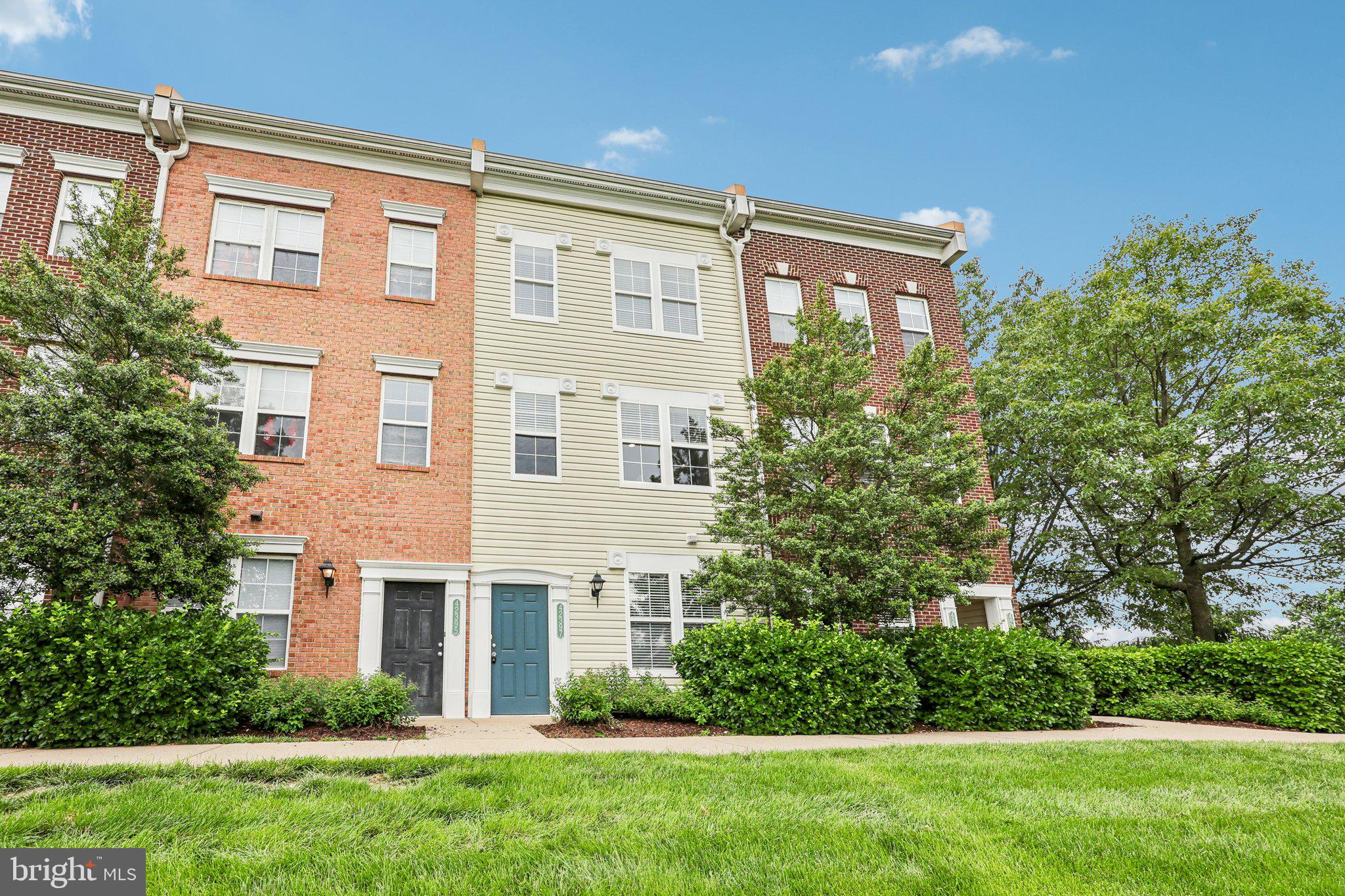 42397 GOLDENSEAL SQUARE