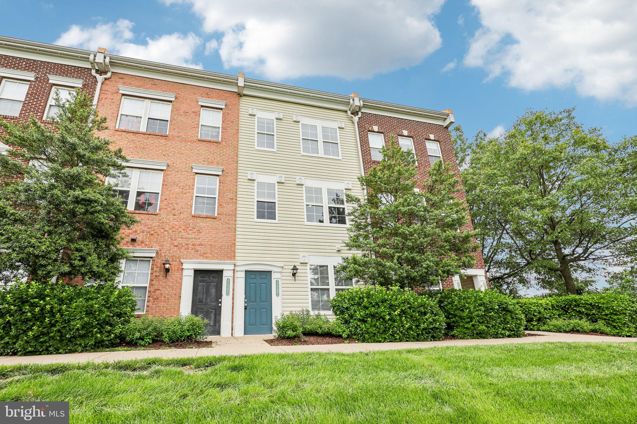 42397 GOLDENSEAL SQUARE