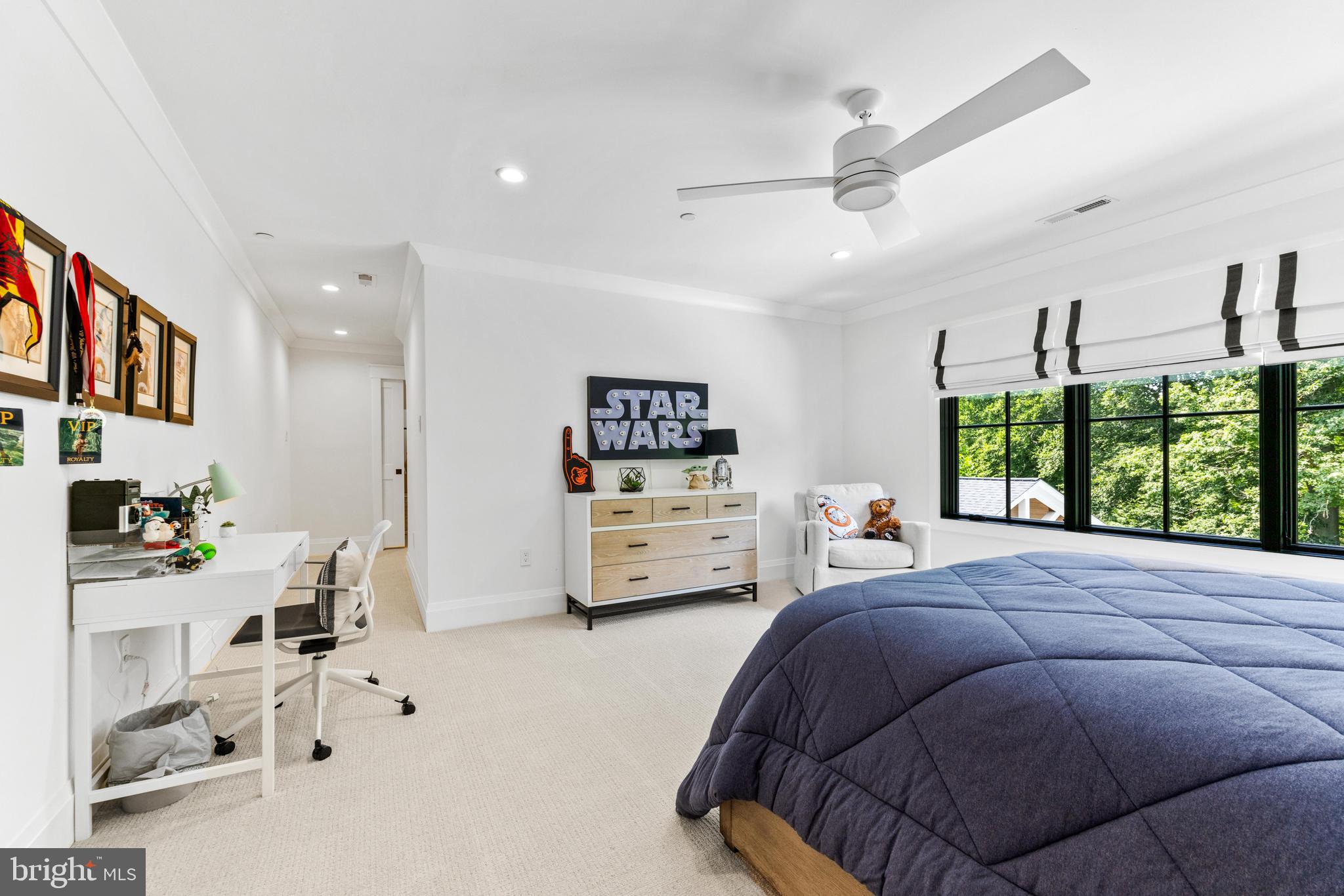 HAHN'S MEADOW - Residential