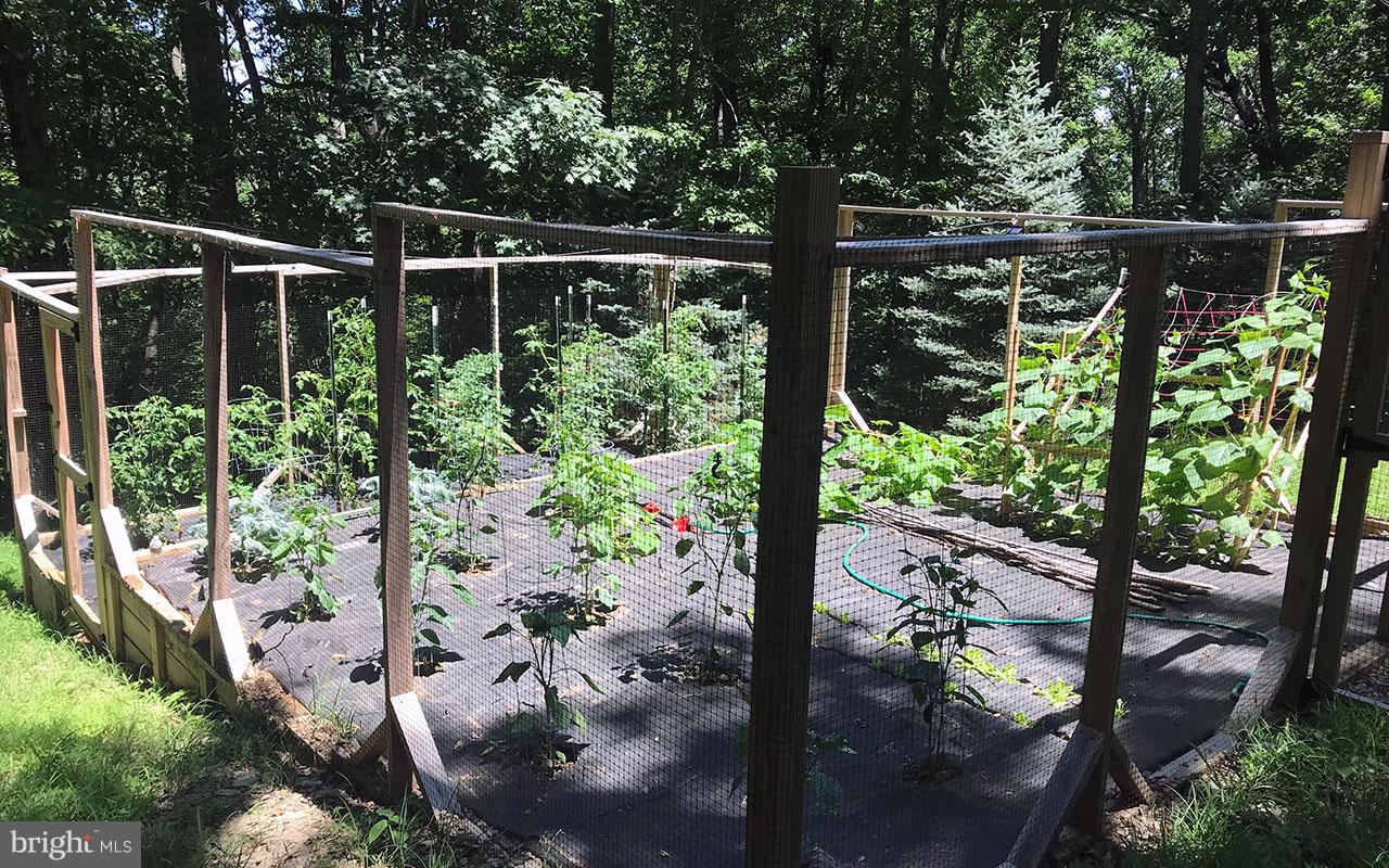 QUAIL RUN MOUNTAIN - Residential