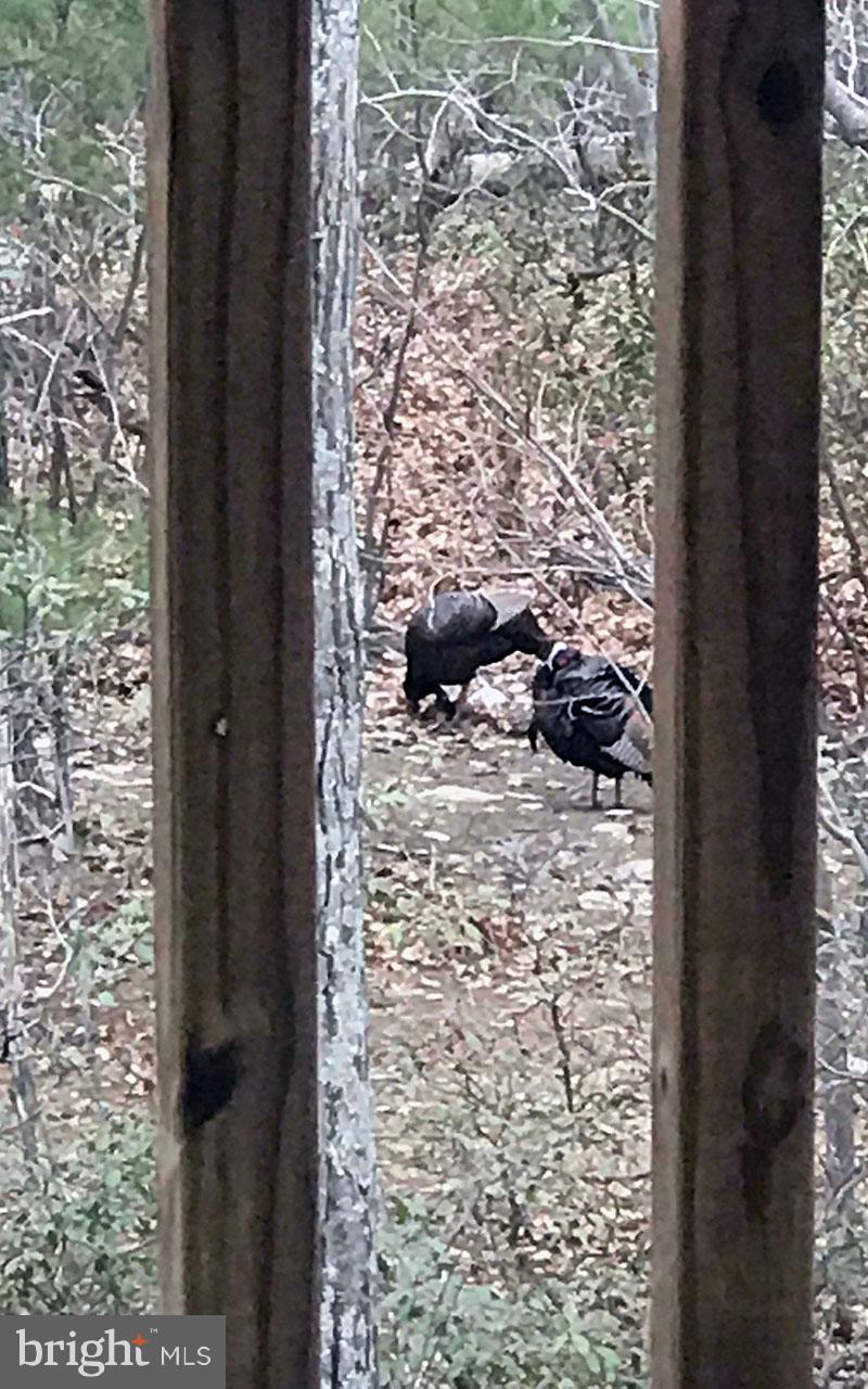 QUAIL RUN MOUNTAIN - Residential