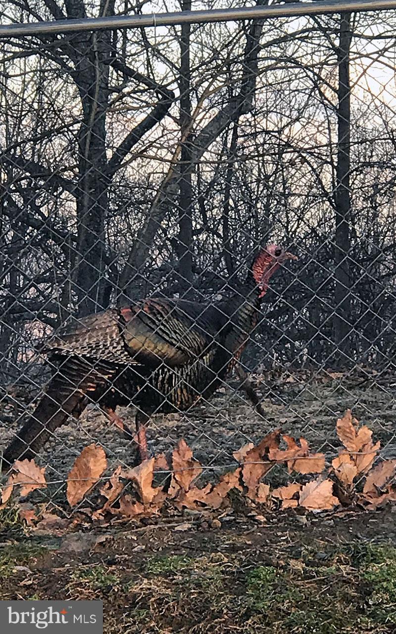 QUAIL RUN MOUNTAIN - Residential