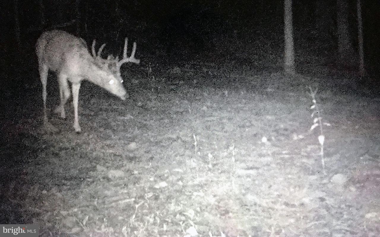 QUAIL RUN MOUNTAIN - Residential